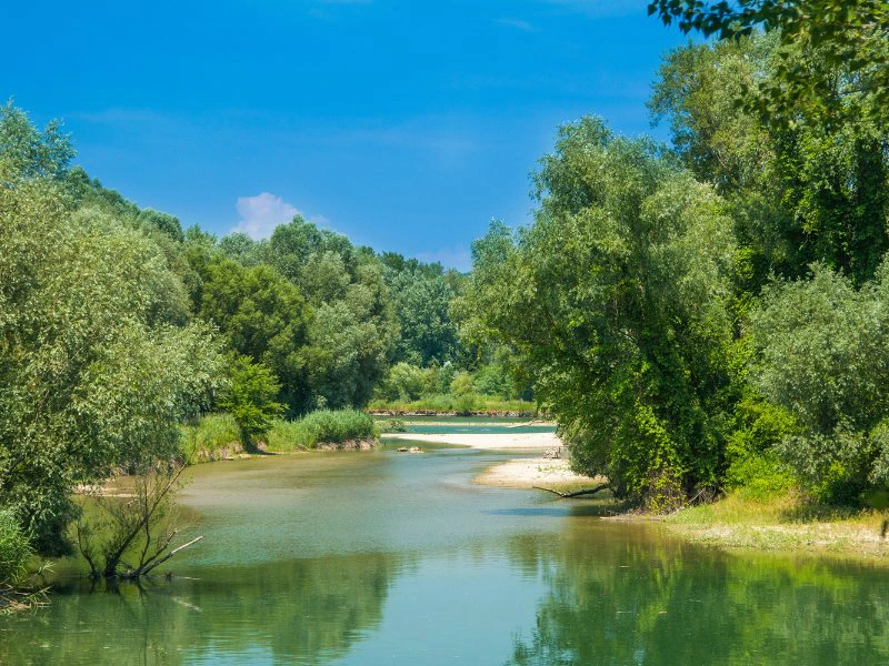 Croatia Drava river