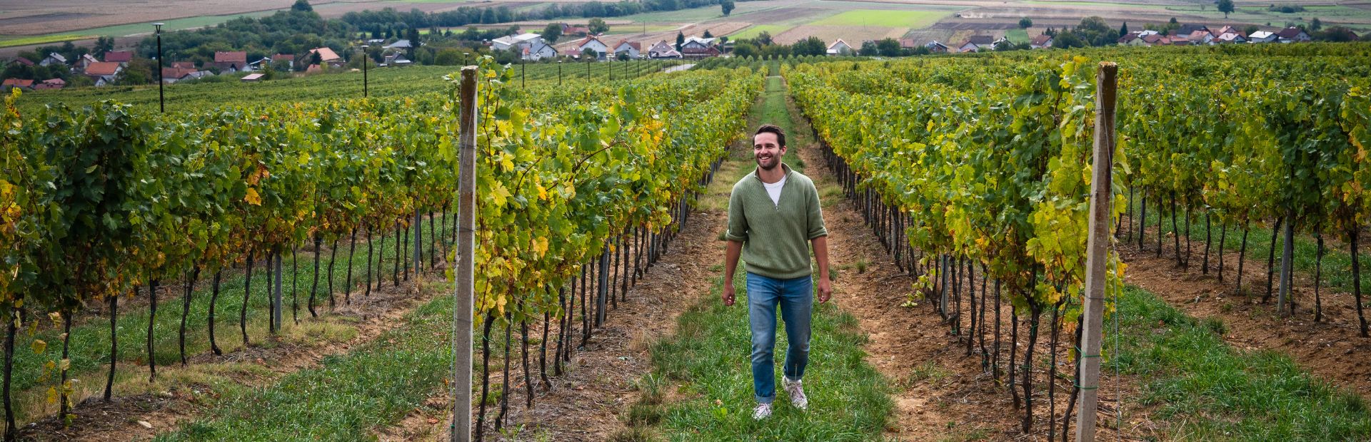 Croatia Kutjevo hero vineyard