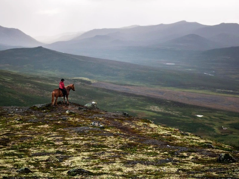 paardrijden Dovrefjell Noorwegen