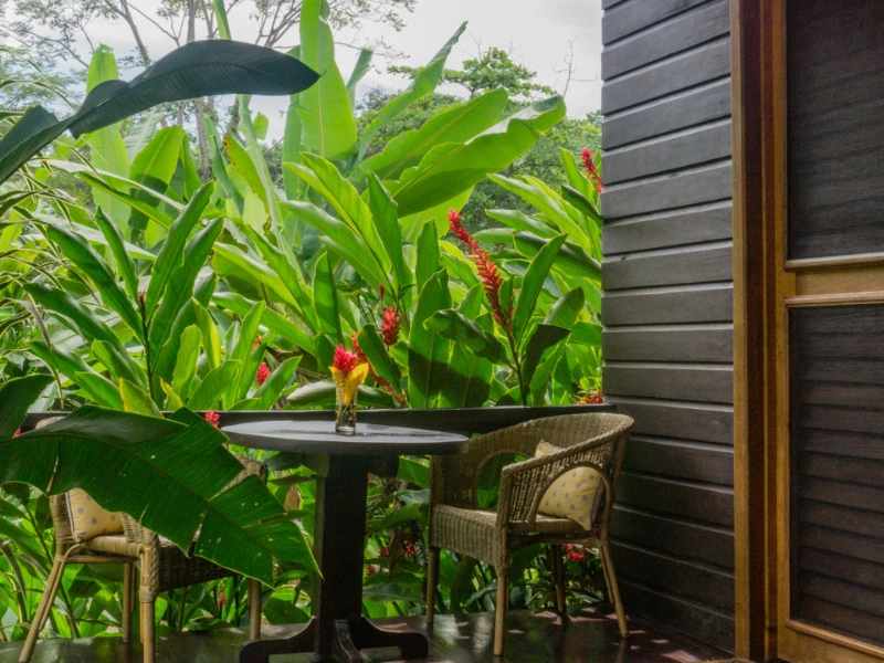 Bocas del Torro hotel terras