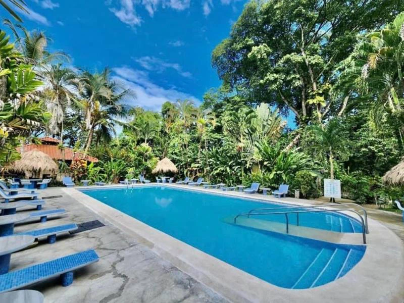 Cahuita jungle hotel