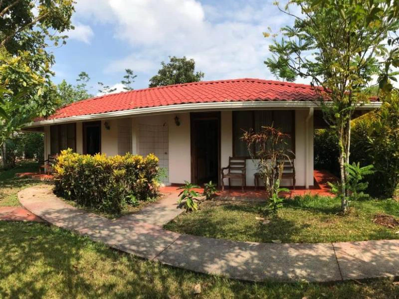 jungle lodge water cano negro