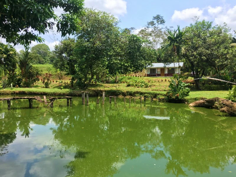 Sarapiqui finca