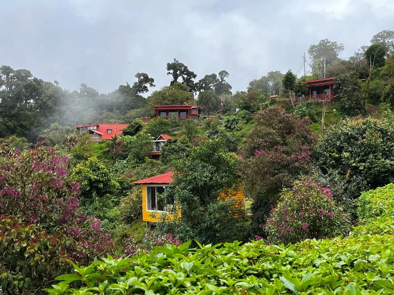Tuin van hotel in San Gerardo de Dota