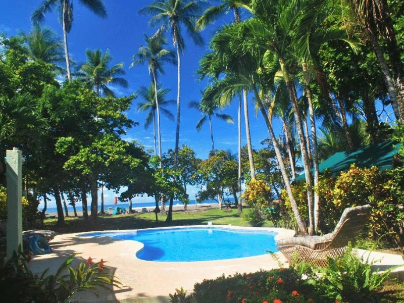 Pool in Matapalo, Costa Rica