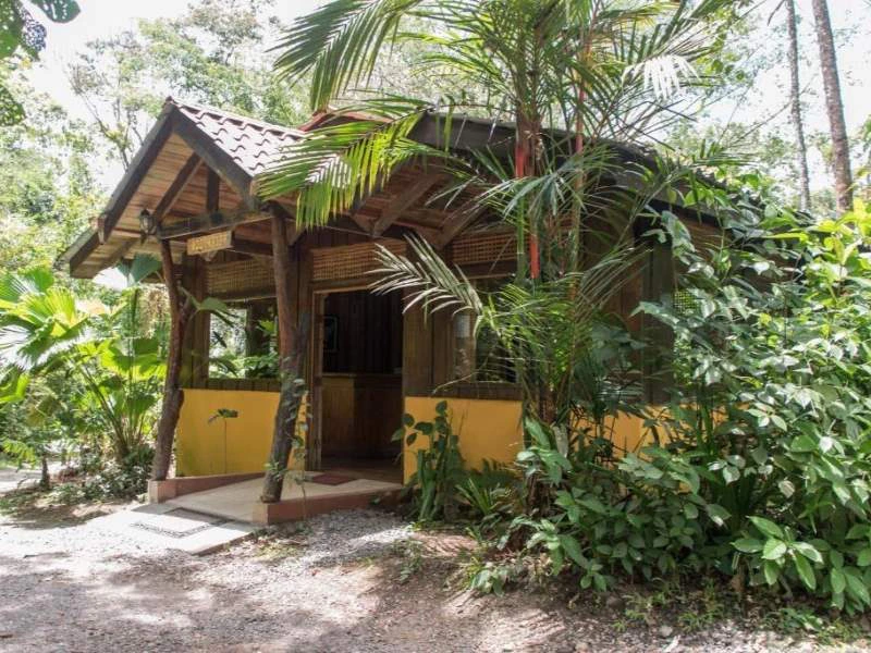 arenal jungle forest bungalow