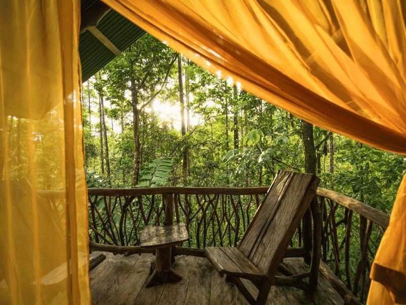 Costa Rica junglelodge