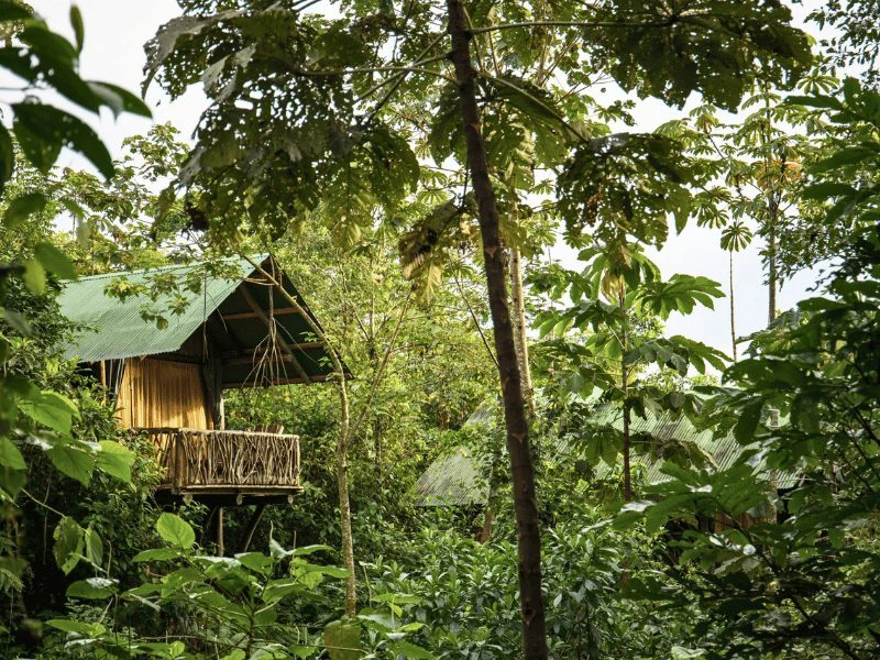 Costa Rica junglelodge