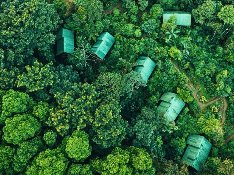 Costa Rica junglelodge