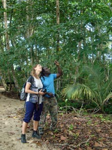 costa rica reisgids