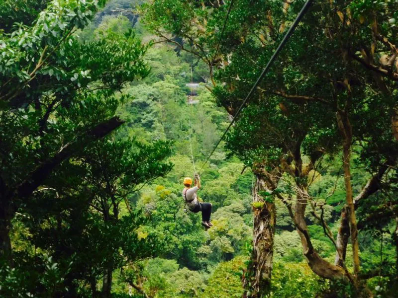 Canopy Monteverde