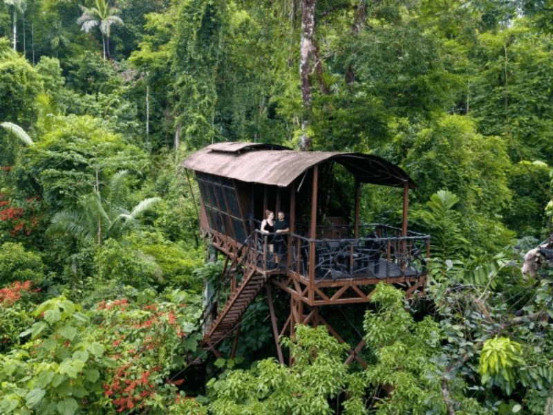 Boomhut in Baca tapada