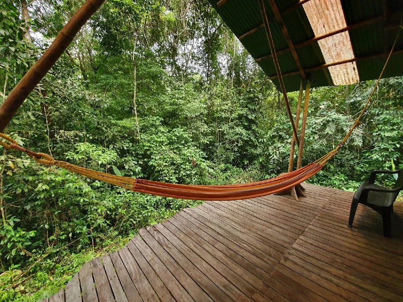 Bungalow met veranda in de jungle