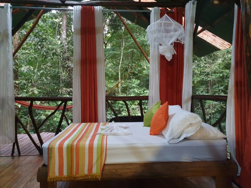 Bungalow in de jungle