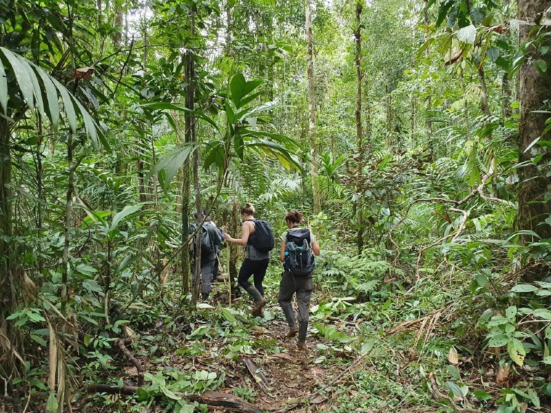 Mensen wandelen door de jungle van Corcovado
