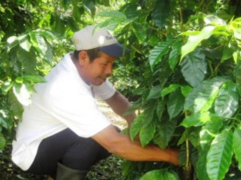 koffietour Matagalpa