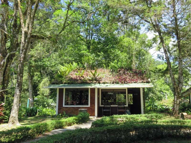 matagalpa lodge bungalow