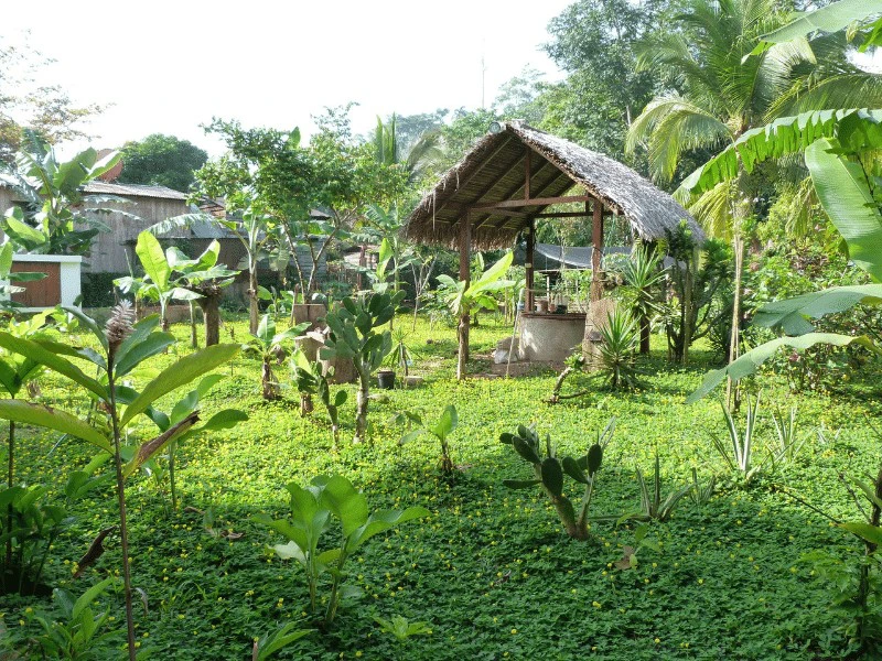 Rio San Juan hotel tuin