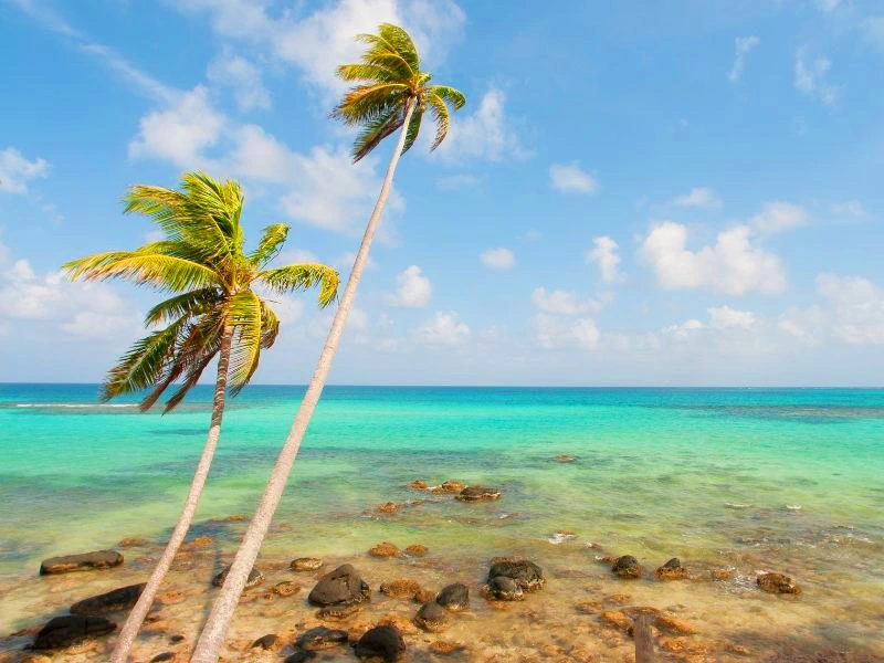 corn island strand