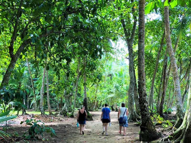 Manzanillo wandeling