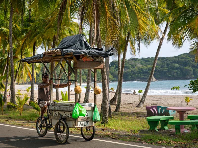 Playa Carrillo kokos verkoper