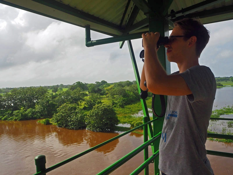 Man op observatietoren in Cano Negro
