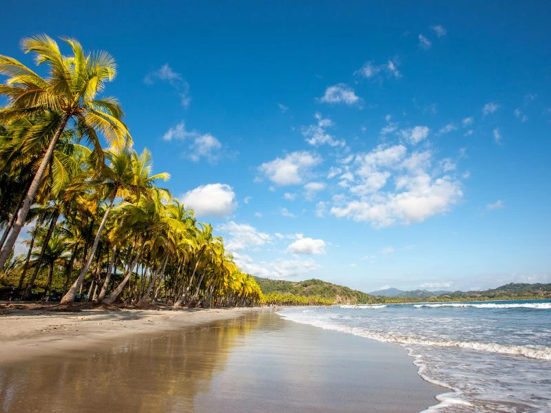 Nicoya schiereiland costa rica strand palmbomen zee