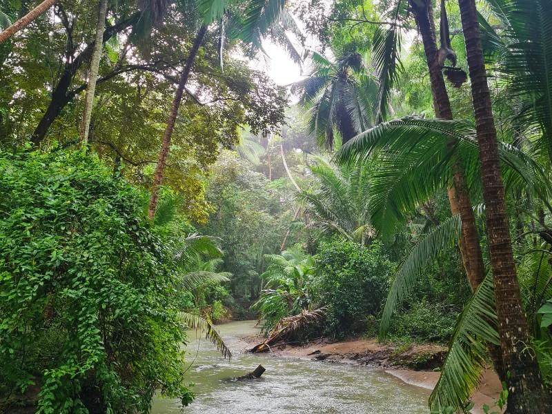 Costa Rica-Playa-Naranjo natuurpark