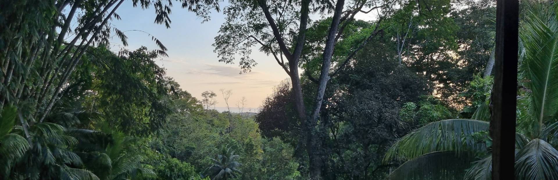 Costa Rica Reizigers over ons
