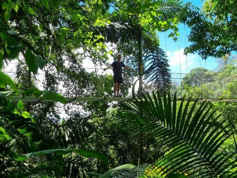 Man in de Jungle van Costa Rica