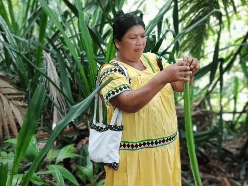 Kookworkshop op Bocas del Toro, Panama rondreis