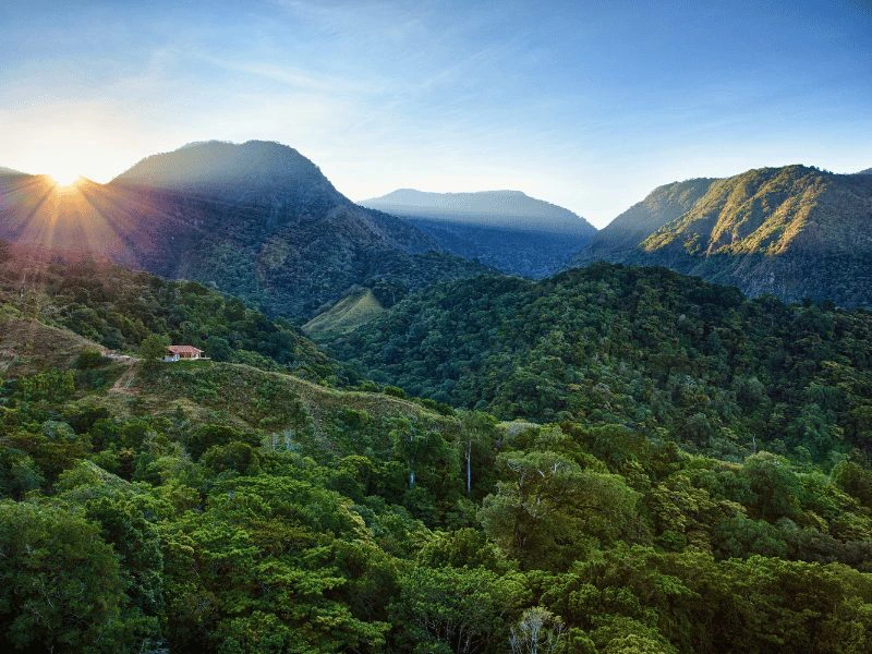 Nevelwoud van Boquete, Panama rondreis