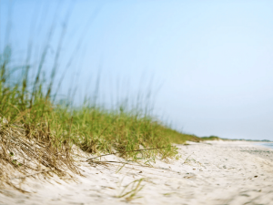 Pedasi strand