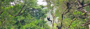 Man aan het ziplinen in Costa Rica met veel natuur om zich heen