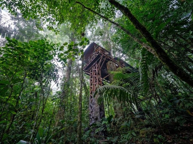 Eco lodge in de jungle van Boca Tapada, Costa Rica