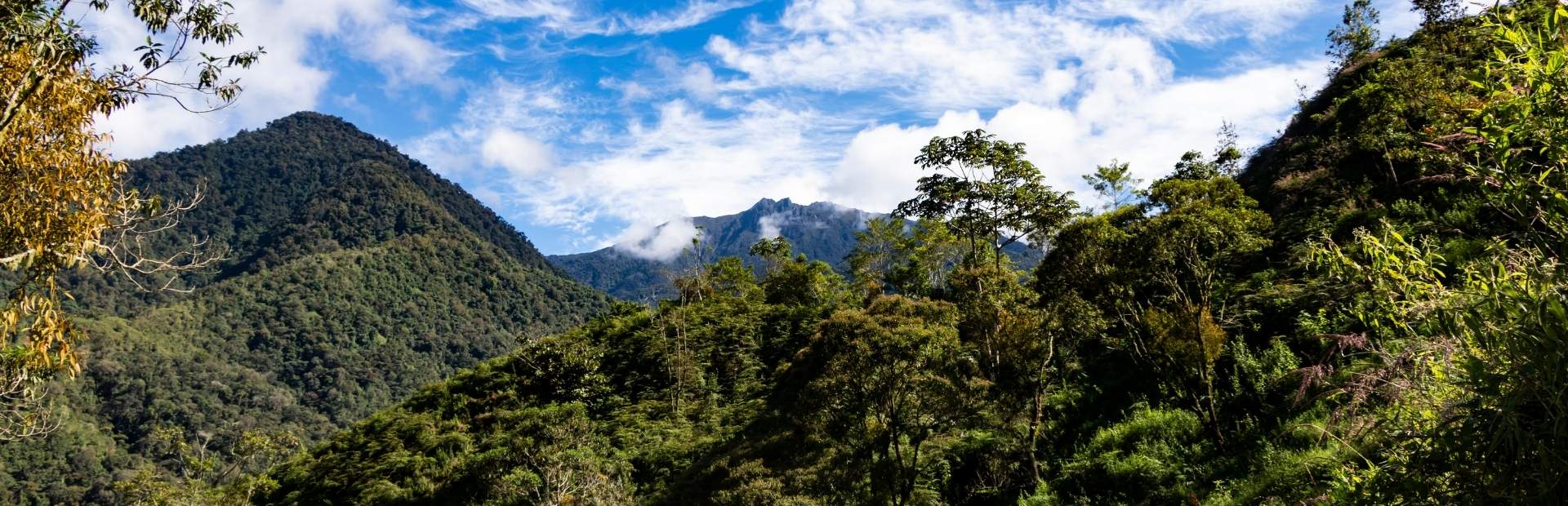 Uitzicht op het landschap in Cerro, Costa Rica