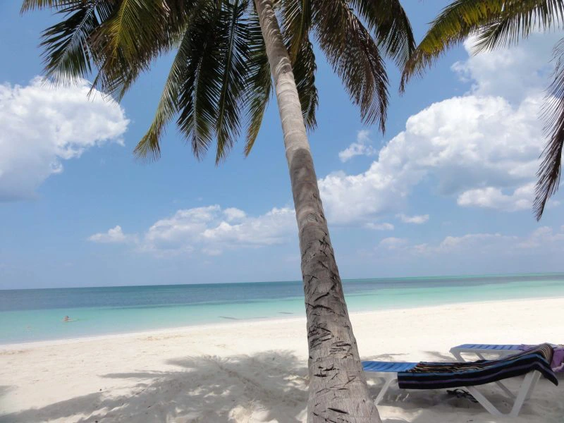 Cayo Levisa - strand