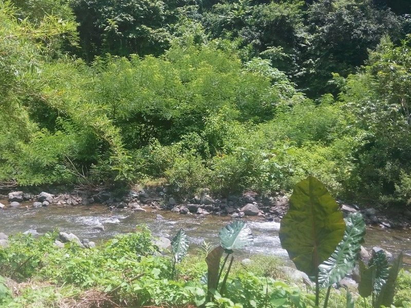 Cuba-Sierra-Maestra-verblijf