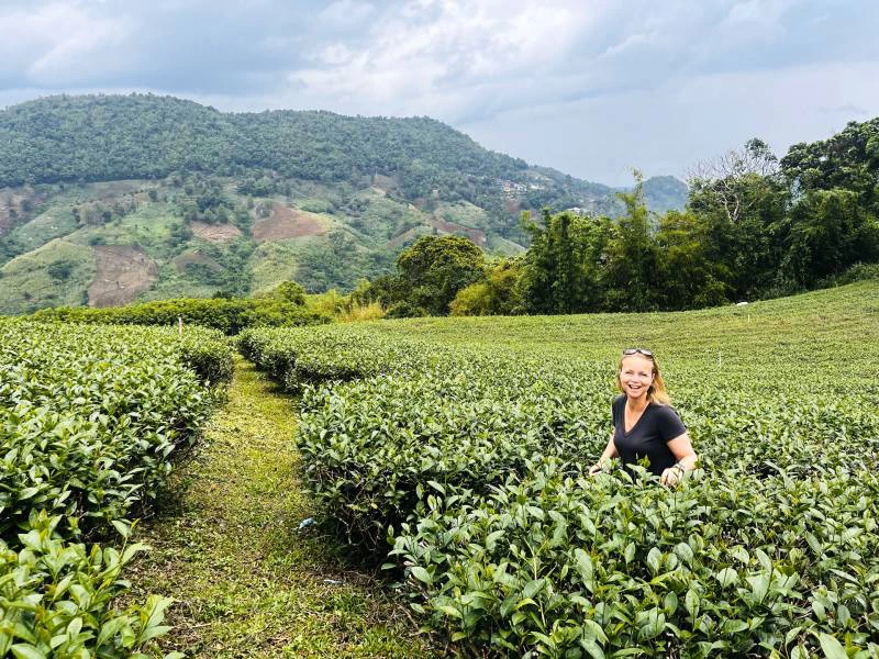 Een vrouw staat tussen groene theestruiken op een plantage, met op de achtergrond heuvels bedekt met bomen en een bewolkte lucht. Ze kijkt lachend richting de camera.