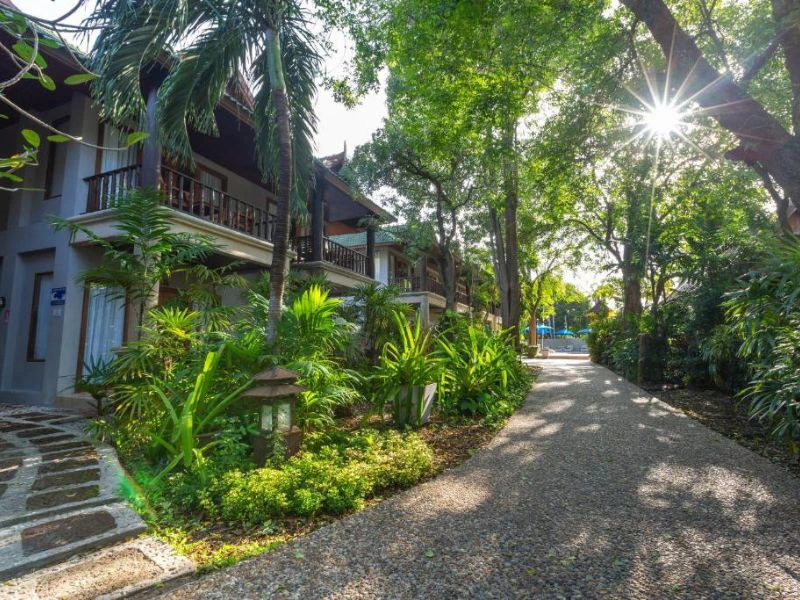 Een wandelpad dat langs een rij lage gebouwen met houten balkons en grote ramen loopt, omgeven door tropische planten en hoge bomen waar de zon doorheen schijnt.