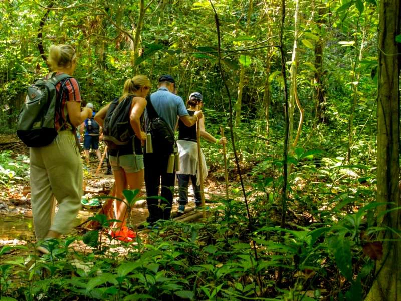 Een groep reizigers wandelt met een lokale gids door de tropische jungle. Om hen heen: dichte begroeiing, zonlicht dat door het bladerdak filtert