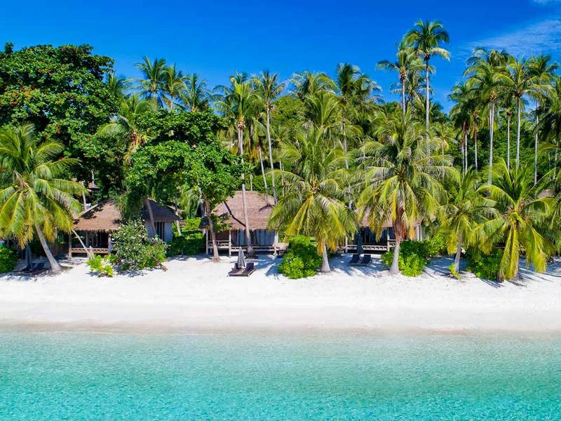 Tropisch strand met wit zand, helderblauw zeewater en palmbomen. Op de achtergrond staan houten bungalows verscholen tussen het groen.