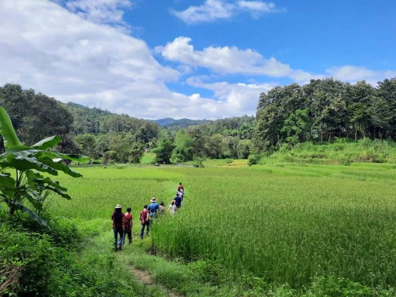 Groep wandelaars loopt over een smal pad door groene rijstvelden, omringd door heuvels en jungle onder een blauwe lucht met witte wolken.