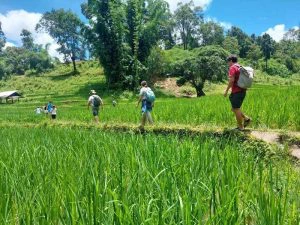 Budget | Riksja Thailand