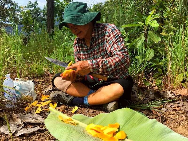 Een man zit op de grond in een groene, natuurlijke omgeving en schilt een mango met een groot mes. De gesneden stukjes mango liggen op een groot bananenblad voor hem uitgespreid. Hij draagt een geruite blouse, een groene hoed en wandelschoenen.