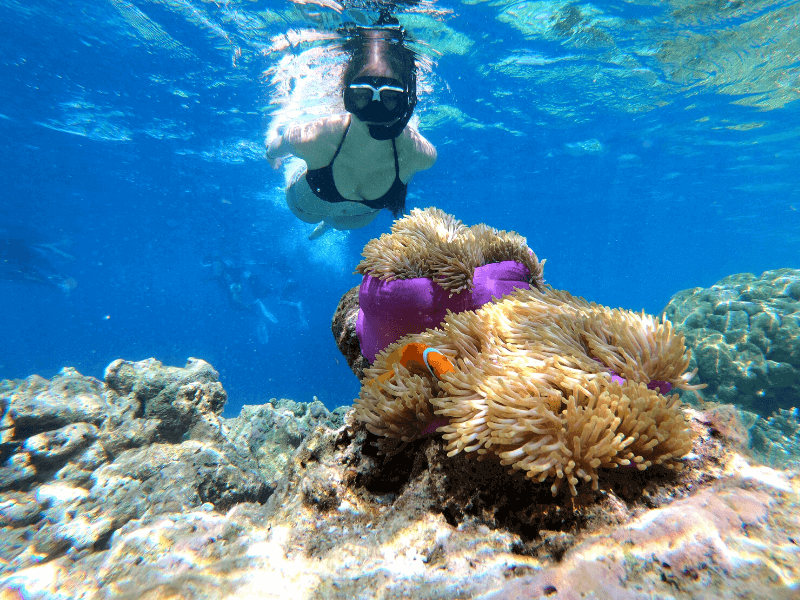 Koh Kood snorkeleiland thailand