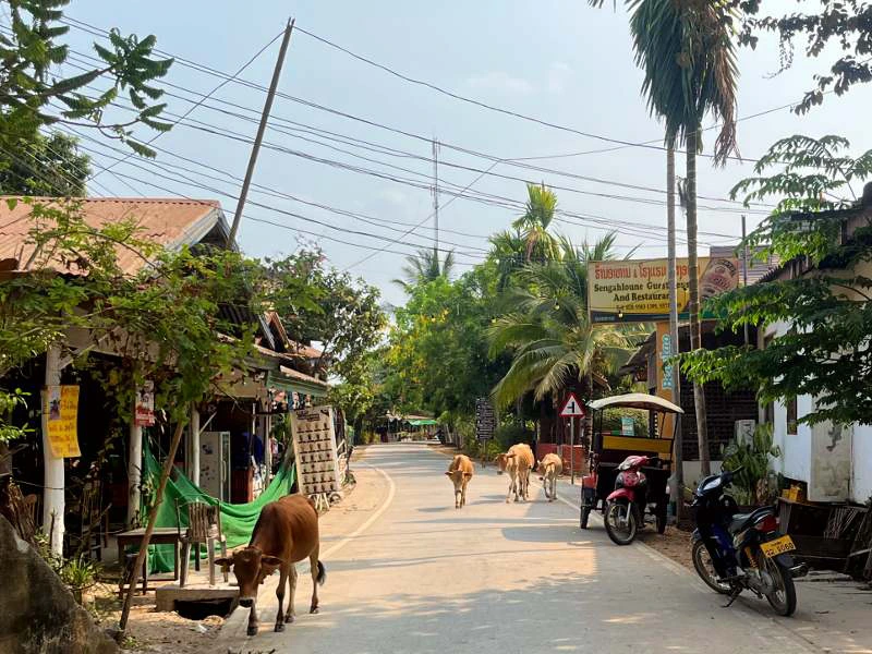 Si Phan Don | riksja Laos