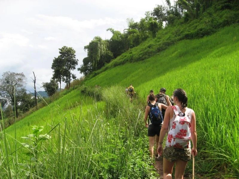 Trekking Chiang Mai