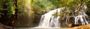 Khao Yai | Riksja Thailand