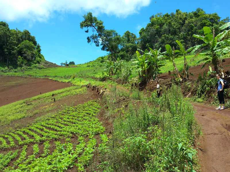 riksja-thailand-trekking-pai
